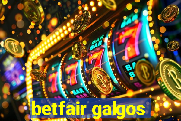 betfair galgos